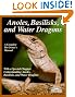 Anoles, Basilisks, and Water Dragons