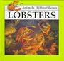 Lobsters (Animals Without Bones)