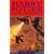 Harry Potter and the Goblet of Fire