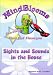 Search : Sights and Sounds in the House