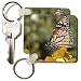 Butterfly on Beebalm Flower - Set Of 6 Key Chains