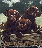 53 x 65 Box of Chocolates Throw By Fine Art
