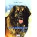 Leonberger Heute.