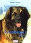 Leonberger Heute.
