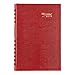 Brownline 2015 Coilpro Daily Planner, Bright Red, 8 x 5 Inches (CB634C.RED-15)