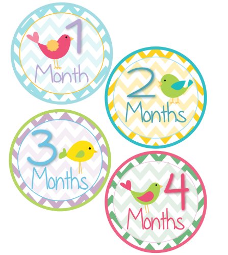 Baby Girl Bird Monthly Onesie Sticker with Chevron Pattern - Waterproof and Durable - Includes 1-12 Month Stickers