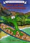 Moki and the Magic Surfboard: A Hawaiian Fantasy