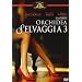 Orchidea Selvaggia 3