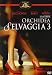 Orchidea Selvaggia 3