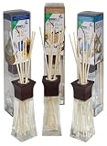 Greenair All Natural Earth Friendly Reed Diffuser Set of 3, Ocean, Vanilla and Fresh Linen, 6.6 Ounce 51BKOJwtHNL. SL160 Greenair All Natural Earth Friendly Reed Diffuser Set of 3, Ocean, Vanilla and Fresh Linen, 6.6 Ounce