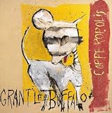 Copperopolis an album by Grant Lee Buffalo
