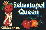 Canvas Print, Sebastopol Queen Brand Apples - 36 x 24