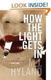 How the Light Gets In
