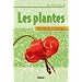 Les plantes : Bien d�buter en botanique