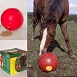 Snak-A-Ball