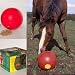 Snak-A-Ball