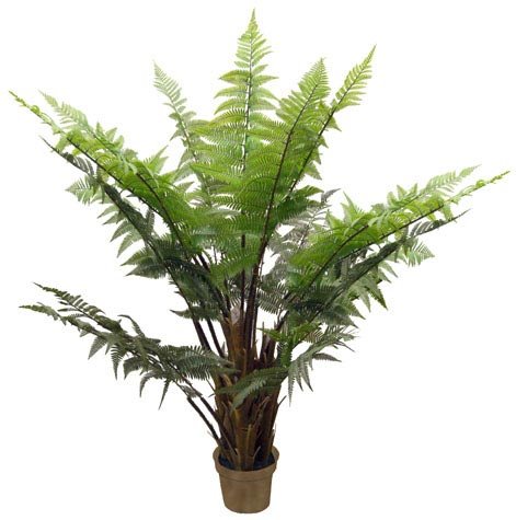 artfleur 300818430 Farnbaum, getopft, 180 cm, gr&uuml;n