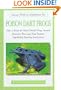 Poison Dart Frogs (Success With An Amphibian Pet)