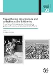 Strengthening Organizations and Collective Action in Fisheries : a way forward in implementing the international guidelines for securing sustainable small-scale fisheries : FAO workshop 18-20 March, 2