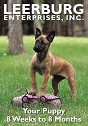 Your Puppy 8 Weeks to 8 Months DVD
