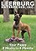 Your Puppy 8 Weeks to 8 Months DVD