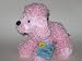 PINK POODLE Webkinz Plush Toy New With Tags ( Hottest collectible toys! )