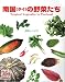 All Products : 南国(タイ)の野菜たち
