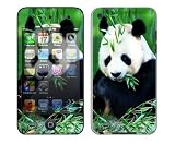Panda Bear Decorative Skin Decal Sticker for Apple iPod Touch 4G (4th Gen) MP3 Player