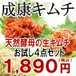 大阪 成康キムチお勧めお試し４点セット 【お土産 ギフト】