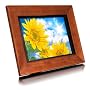 Aluratek 11-Inch Hi-Res Digital Photo Frame (1 GB SD Card Included)