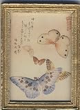 Dollhouse Miniature Art Print of an Asian Butterfly Painting