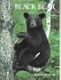 Black Bear