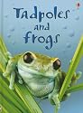 Tadpoles and Frogs (Usborne Beginners)