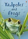 Tadpoles and Frogs (Beginners)