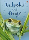 Books : Tadpoles and Frogs (Beginners Nature, Level 1)