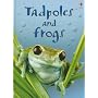 Tadpoles and Frogs (Beginners Nature, Level 1)
