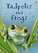 Tadpoles and Frogs (Beginners Nature, Level 1)