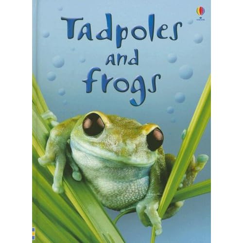 Tadpole to Frog