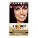 Clairol Natural Instincts Color, 038 Blackberry (Pack of 3)