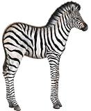Walls of the Wild Zebra