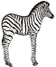 Walls of the Wild Zebra