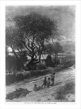 Historic Print (S): Hauling in the Christmas tree