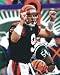 Carson Palmer Autographed Cincinnati Bengals 8x10 Photo