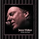A Red, Red Rose by James Wallace