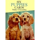 Six Puppies (Post) Cards (Small-Format Card Books) by  Walter Chandoha