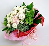 ���Ȍᎁ�@�v���f���[�X�@�w�����V�[�x