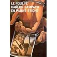 En panne seiche