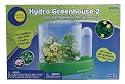 Mini Hydroponic Greenhouse