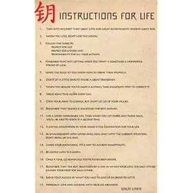 Instructions For Life (Dalai Lama) Art Poster Print - 24" X 36"