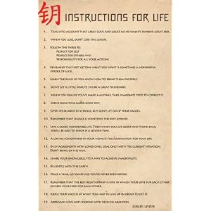 Instructions For Life (Dalai Lama) Art Poster Print - 24